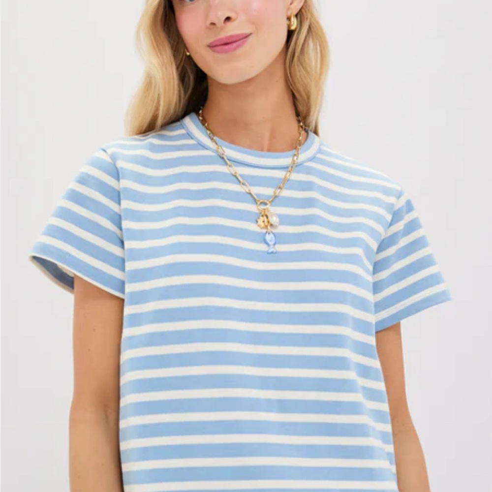 Light Blue Stripe Parker Classic Tee
